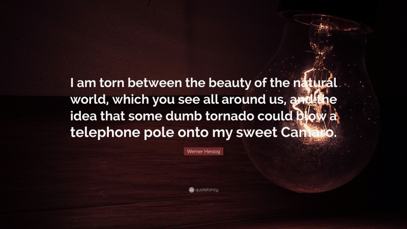Werner Herzog Quote: “I am torn between the beauty of the natural world, which you see all around us, and the idea that some dumb tornado could blow a telephone pole onto my sweet Camaro.”