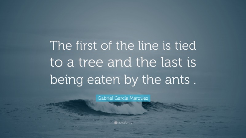Gabriel Garcí­a Márquez Quote: “The first of the line is tied to a tree and the last is being eaten by the ants .”