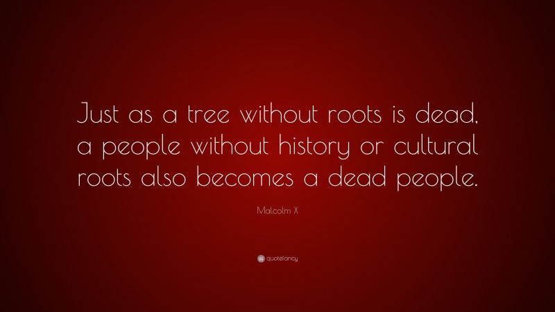 Malcolm X Quote: “Just as a tree without roots is dead, a people without history or cultural roots also becomes a dead people.”