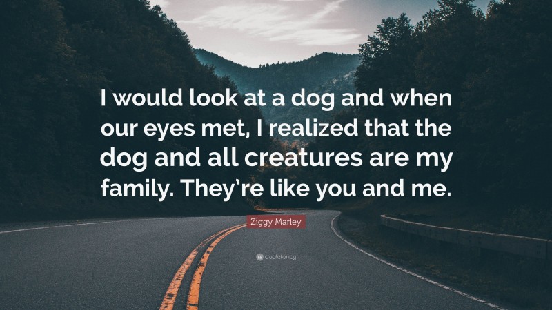 Ziggy Marley Quote: “I would look at a dog and when our eyes met, I realized that the dog and all creatures are my family. They’re like you and me.”