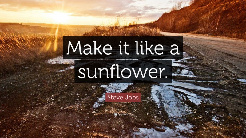 Steve Jobs Quote: “Make it like a sunflower.”