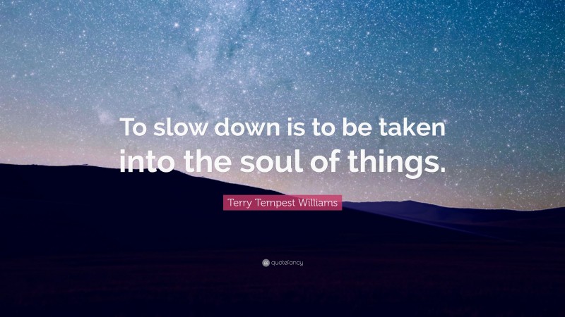 Terry Tempest Williams Quote: “To slow down is to be taken into the soul of things.”