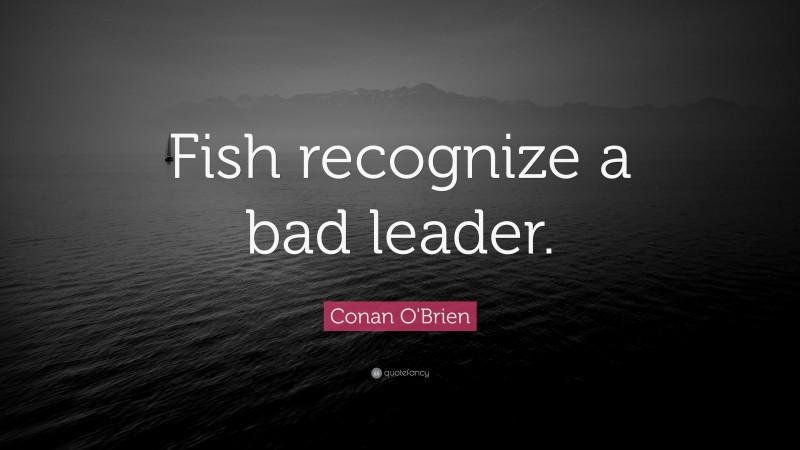 Conan O'Brien Quote: “Fish recognize a bad leader.”