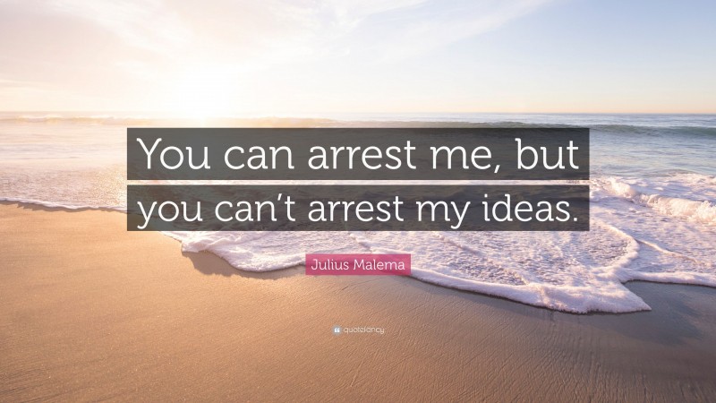 Julius Malema Quote: “You can arrest me, but you can’t arrest my ideas.”