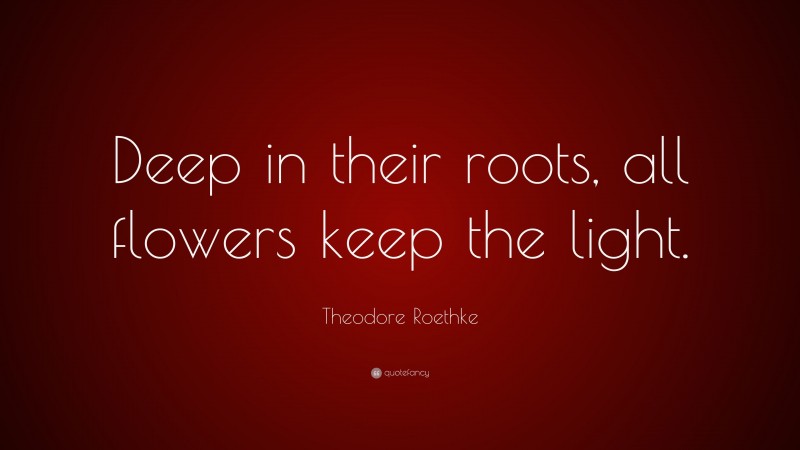 Theodore Roethke Quote: “Deep in their roots, all flowers keep the light.”