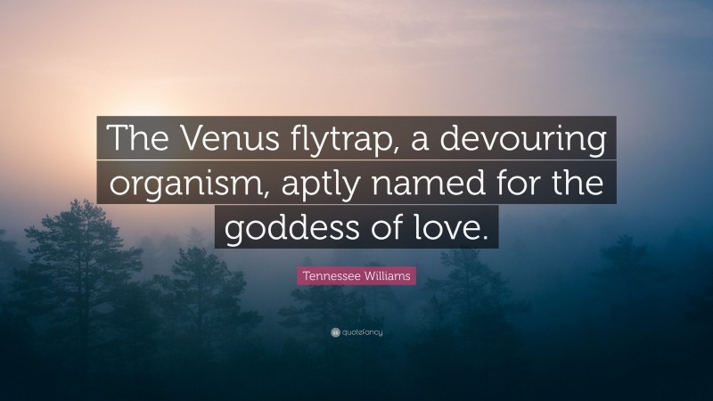 Tennessee Williams Quote: “The Venus flytrap, a devouring organism, aptly named for the goddess of love.”