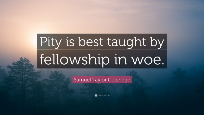 Samuel Taylor Coleridge Quote: “Pity is best taught by fellowship in woe.”