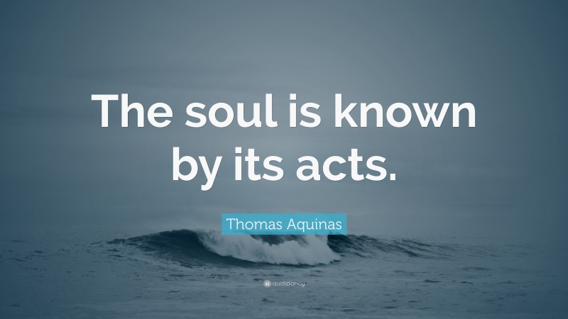 Thomas Aquinas Quote: “The soul is known by its acts.”