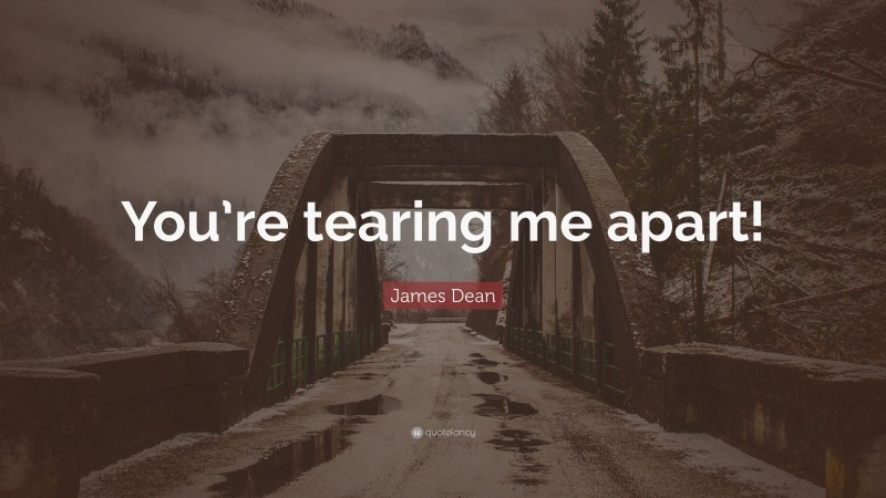 James Dean Quote: “You’re tearing me apart!”
