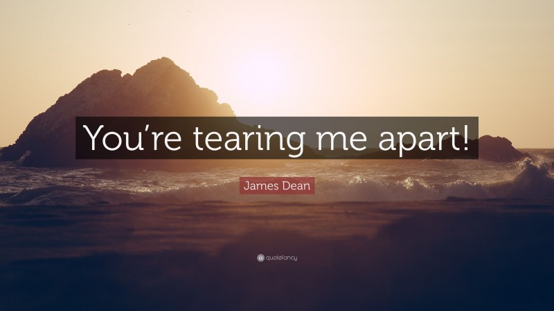James Dean Quote: “You’re tearing me apart!”