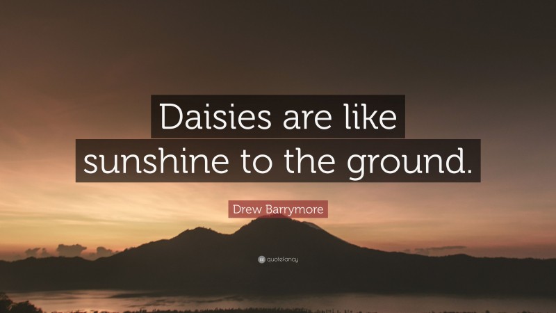 Drew Barrymore Quote: “Daisies are like sunshine to the ground.”