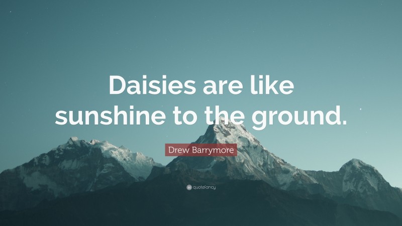 Drew Barrymore Quote: “Daisies are like sunshine to the ground.”