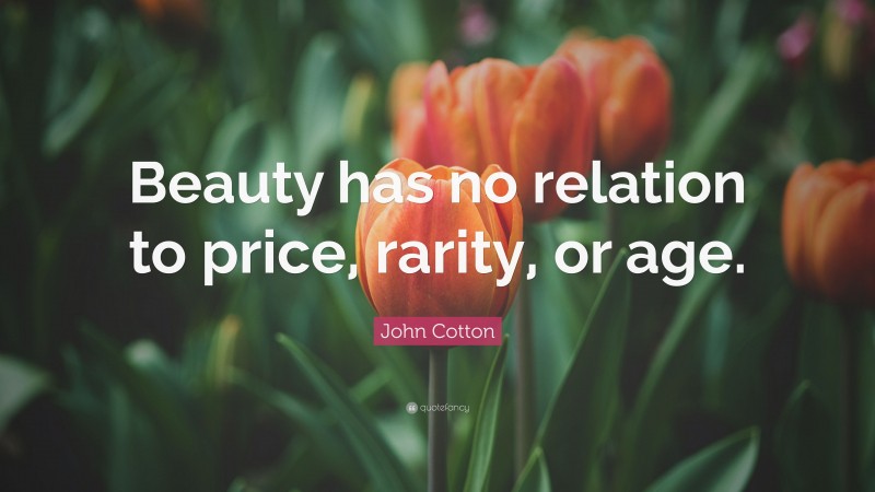 John Cotton Quote: “Beauty has no relation to price, rarity, or age.”