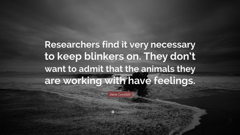 Jane Goodall Quote: “Researchers find it very necessary to keep blinkers on. They don’t want to admit that the animals they are working with have feelings.”