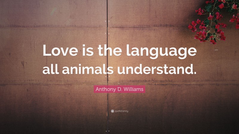 Anthony D. Williams Quote: “Love is the language all animals understand.”