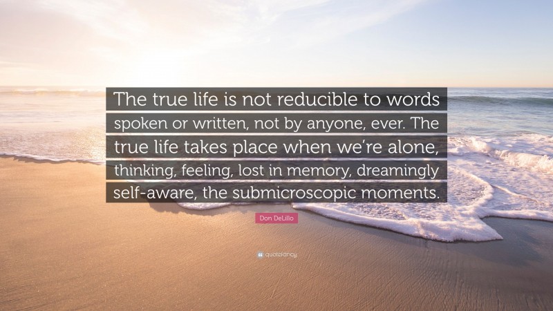 Don DeLillo Quote: “The true life is not reducible to words spoken or written, not by anyone, ever. The true life takes place when we’re alone, thinking, feeling, lost in memory, dreamingly self-aware, the submicroscopic moments.”