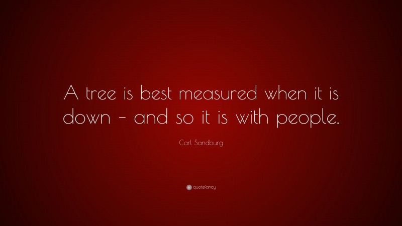 Carl Sandburg Quote: “A tree is best measured when it is down – and so it is with people.”