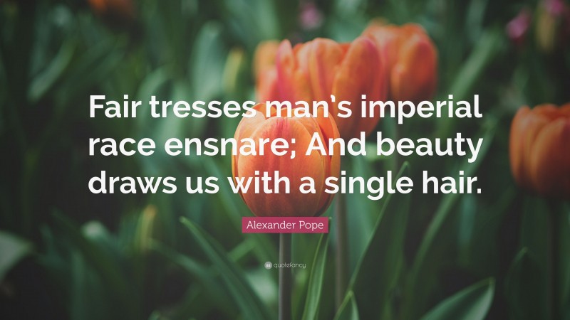Alexander Pope Quote: “Fair tresses man’s imperial race ensnare; And beauty draws us with a single hair.”