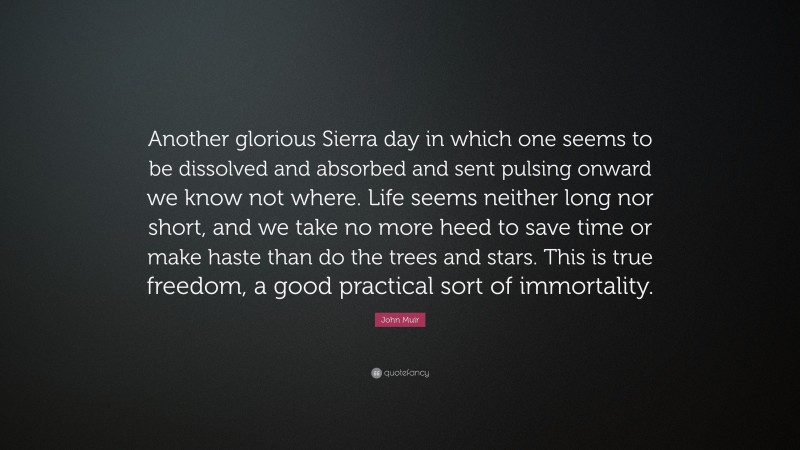John Muir Quote: “Another glorious Sierra day in which one seems to be dissolved and absorbed and sent pulsing onward we know not where. Life seems neither long nor short, and we take no more heed to save time or make haste than do the trees and stars. This is true freedom, a good practical sort of immortality.”