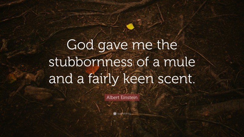 Albert Einstein Quote: “God gave me the stubbornness of a mule and a fairly keen scent.”