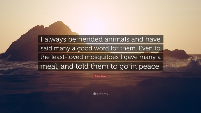 John Muir Quote: “I always befriended animals and have said many a good word for them. Even to the least-loved mosquitoes I gave many a meal, and told them to go in peace.”
