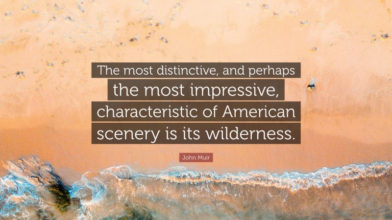 John Muir Quote: “The most distinctive, and perhaps the most impressive, characteristic of American scenery is its wilderness.”