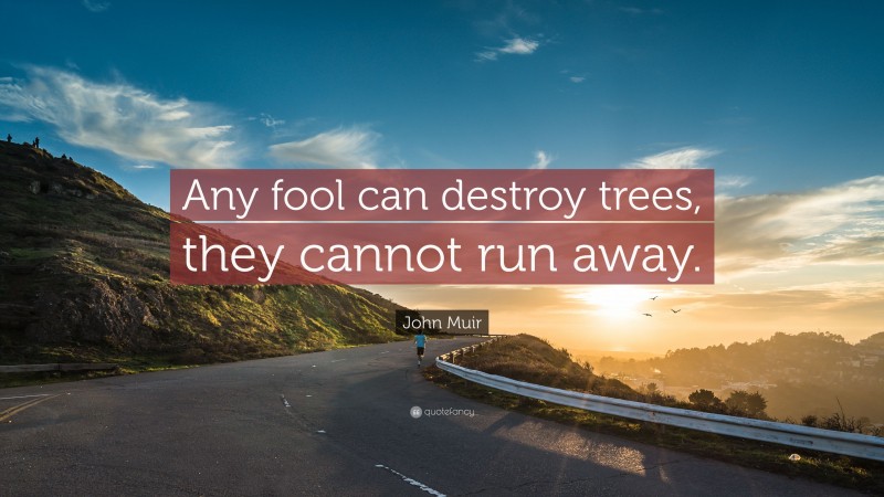 John Muir Quote: “Any fool can destroy trees, they cannot run away.”