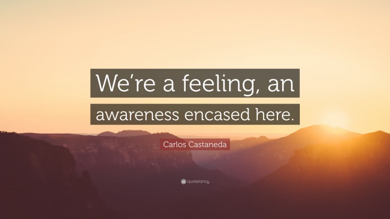 Carlos Castaneda Quote: “We’re a feeling, an awareness encased here.”