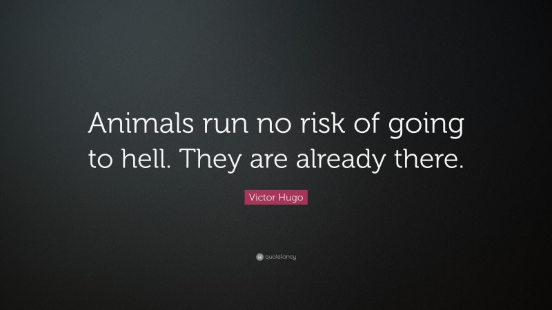 Victor Hugo Quote: “Animals run no risk of going to hell. They are already there.”
