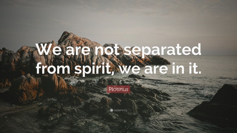 Plotinus Quote: “We are not separated from spirit, we are in it.”