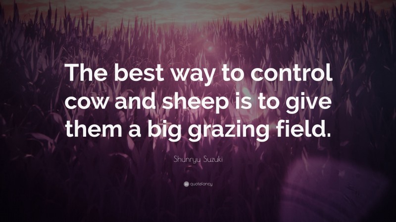 Shunryu Suzuki Quote: “The best way to control cow and sheep is to give them a big grazing field.”