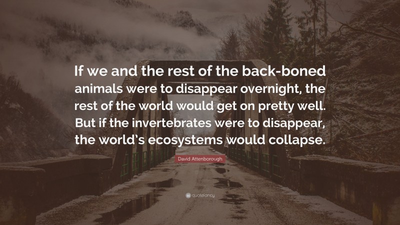 David Attenborough Quote: “If we and the rest of the back-boned animals were to disappear overnight, the rest of the world would get on pretty well. But if the invertebrates were to disappear, the world’s ecosystems would collapse.”