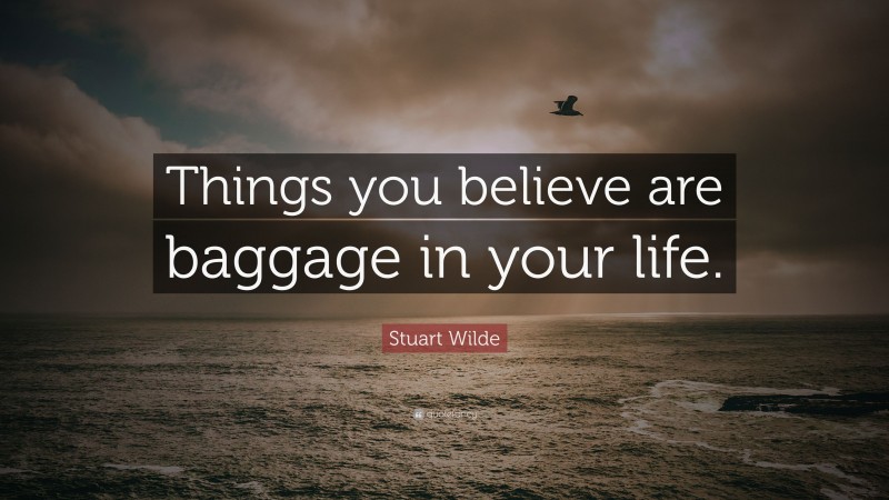Stuart Wilde Quote: “Things you believe are baggage in your life.”