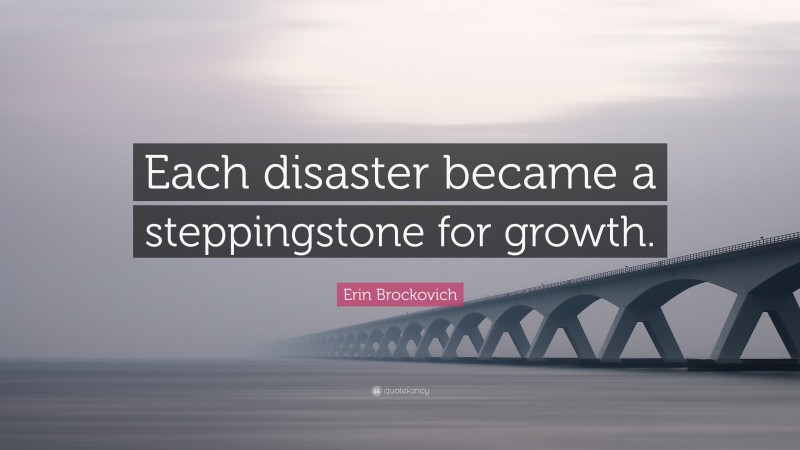 Erin Brockovich Quote: “Each disaster became a steppingstone for growth.”