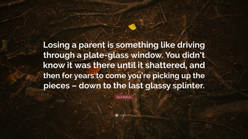 Saul Bellow Quote: “Losing a parent is something like driving through a plate-glass window. You didn’t know it was there until it shattered, and then for years to come you’re picking up the pieces – down to the last glassy splinter.”