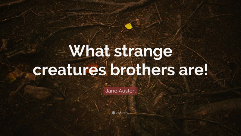 Jane Austen Quote: “What strange creatures brothers are!”