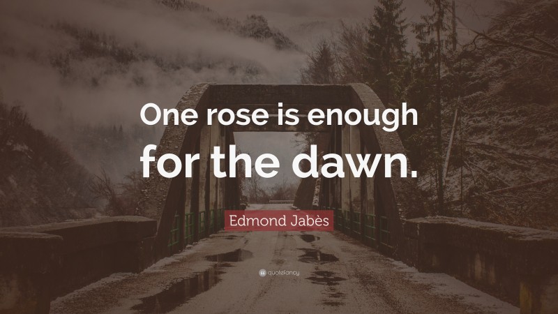 Edmond Jabès Quote: “One rose is enough for the dawn.”