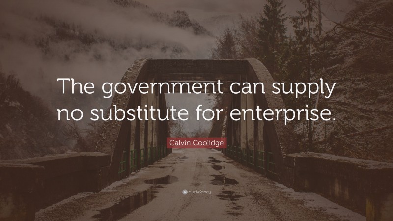 Calvin Coolidge Quote: “The government can supply no substitute for enterprise.”