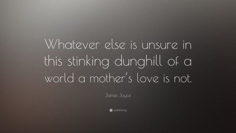 James Joyce Quote: “Whatever else is unsure in this stinking dunghill of a world a mother’s love is not.”