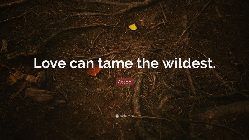 Aesop Quote: “Love can tame the wildest.”