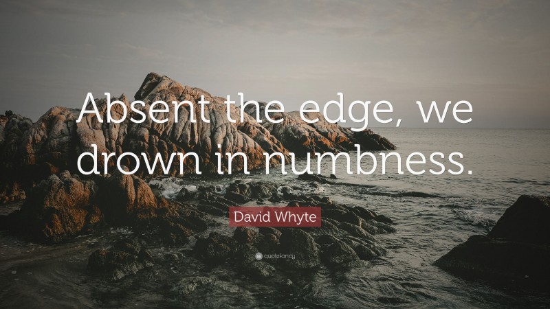 David Whyte Quote: “Absent the edge, we drown in numbness.”