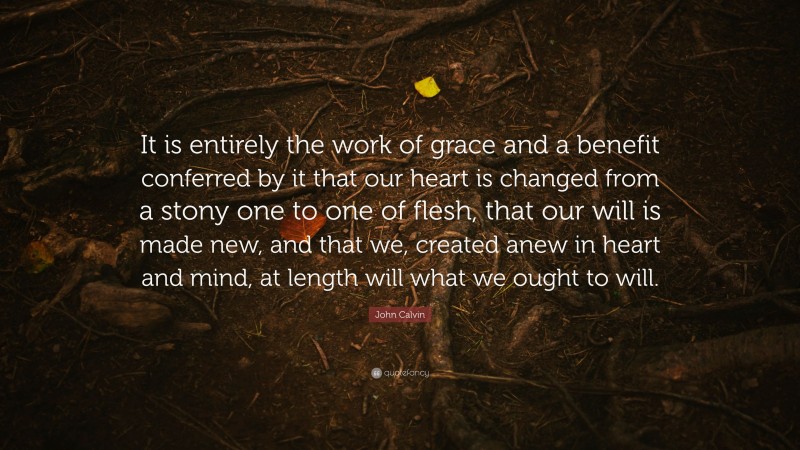 John Calvin Quote: “It is entirely the work of grace and a benefit conferred by it that our heart is changed from a stony one to one of flesh, that our will is made new, and that we, created anew in heart and mind, at length will what we ought to will.”