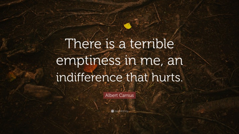 Albert Camus Quote: “There is a terrible emptiness in me, an indifference that hurts.”