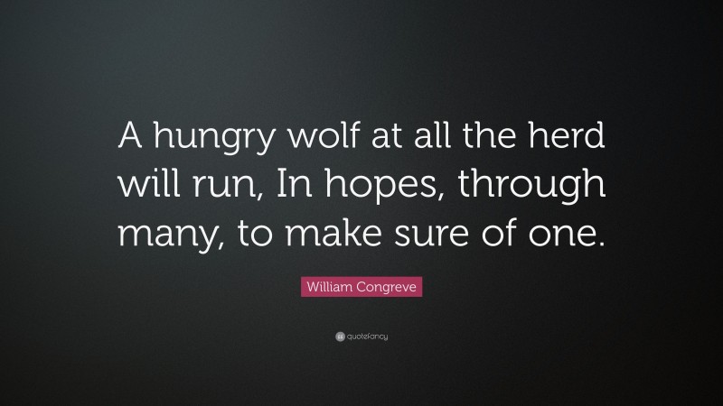William Congreve Quote: “A hungry wolf at all the herd will run, In hopes, through many, to make sure of one.”