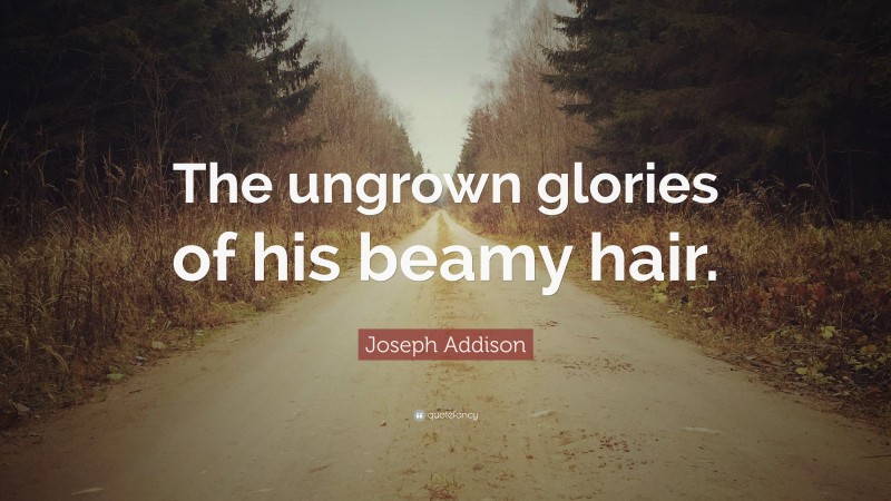 Joseph Addison Quote: “The ungrown glories of his beamy hair.”