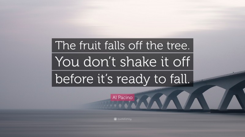 Al Pacino Quote: “The fruit falls off the tree. You don’t shake it off before it’s ready to fall.”