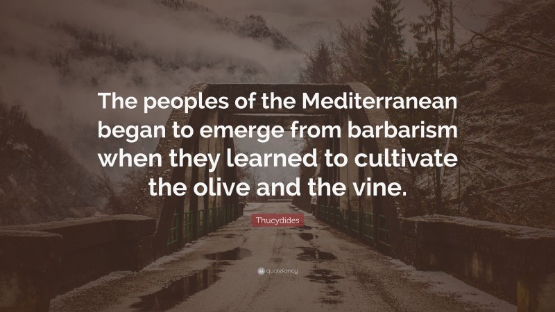 Thucydides Quote: “The peoples of the Mediterranean began to emerge from barbarism when they learned to cultivate the olive and the vine.”