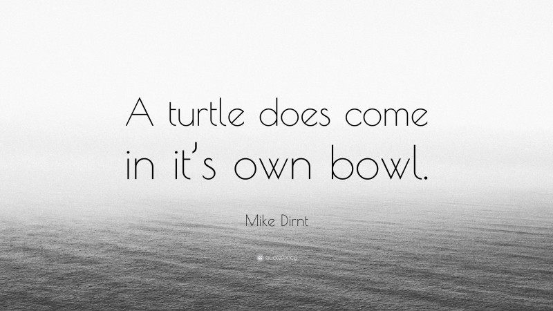 Mike Dirnt Quote: “A turtle does come in it’s own bowl.”