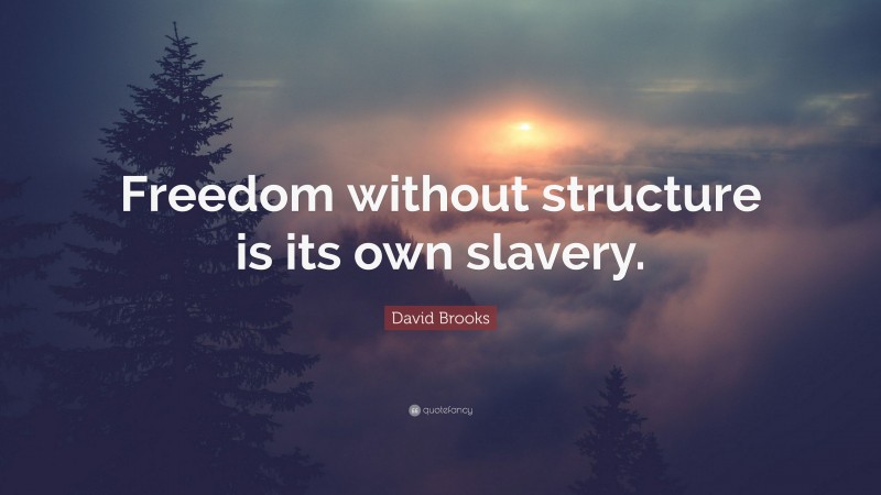 David Brooks Quote: “Freedom without structure is its own slavery.”