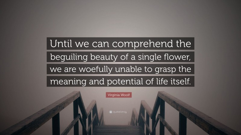 Virginia Woolf Quote: “Until we can comprehend the beguiling beauty of a single flower, we are woefully unable to grasp the meaning and potential of life itself.”
